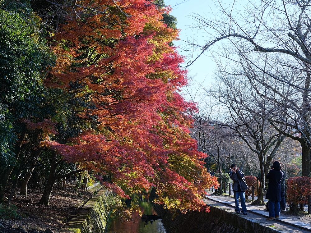 【京都賞楓景點】京都四條最美賞楓路線,祇園白川.岡崎.南禪寺.永觀堂.哲學之道 @捲捲頭 ♡ 品味生活