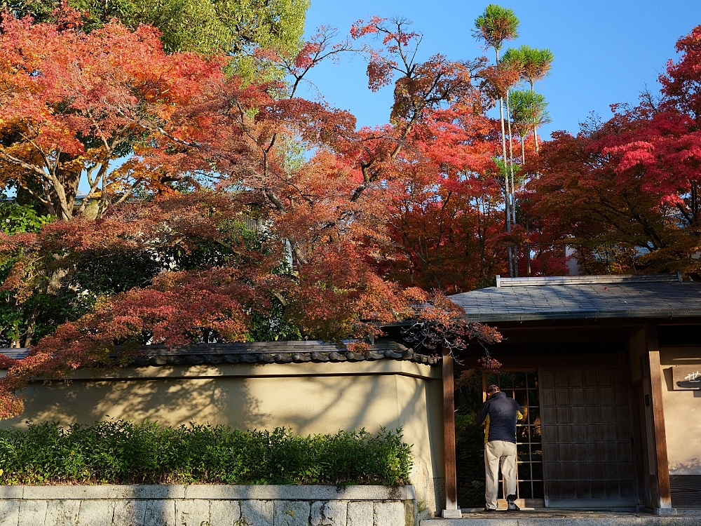 【京都賞楓景點】京都四條最美賞楓路線,祇園白川.岡崎.南禪寺.永觀堂.哲學之道 @捲捲頭 ♡ 品味生活