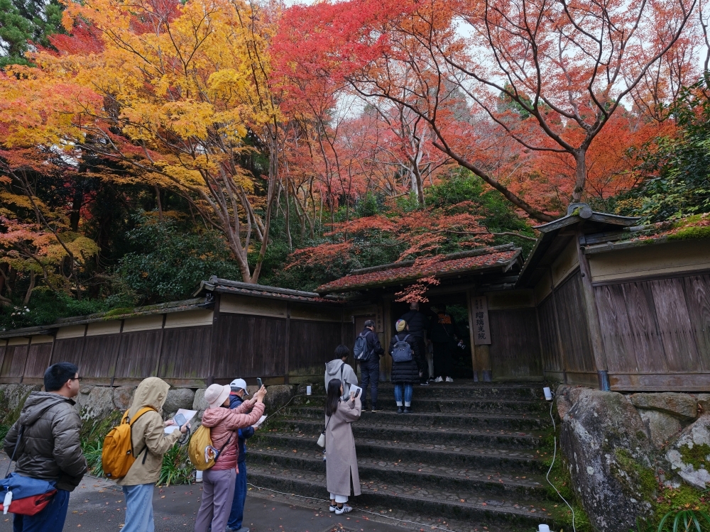 京都賞楓【琉璃光院】百聞不如一見，琉璃光院的楓紅， 門票、交通、必拍景點全攻略 @捲捲頭 ♡ 品味生活