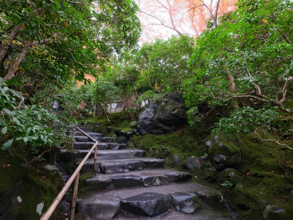 京都賞楓【琉璃光院】百聞不如一見，琉璃光院的楓紅， 門票、交通、必拍景點全攻略 @捲捲頭 ♡ 品味生活