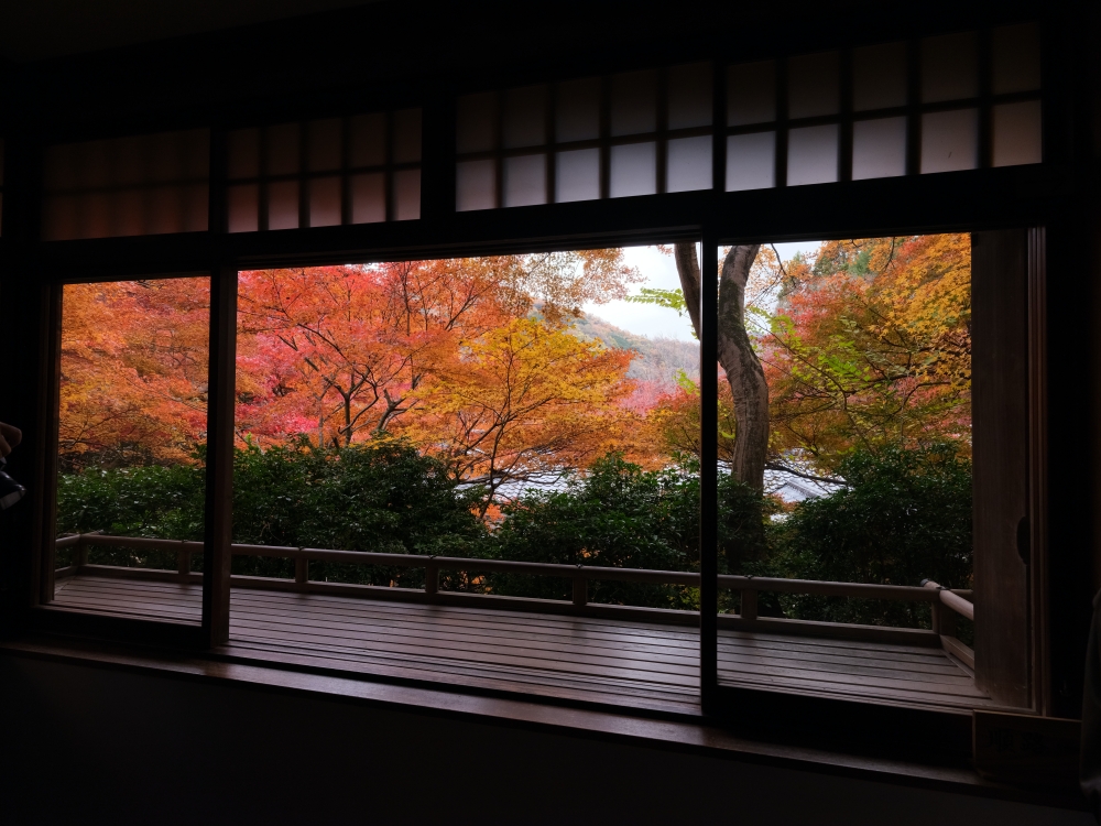 京都賞楓【琉璃光院】百聞不如一見，琉璃光院的楓紅， 門票、交通、必拍景點全攻略 @捲捲頭 ♡ 品味生活