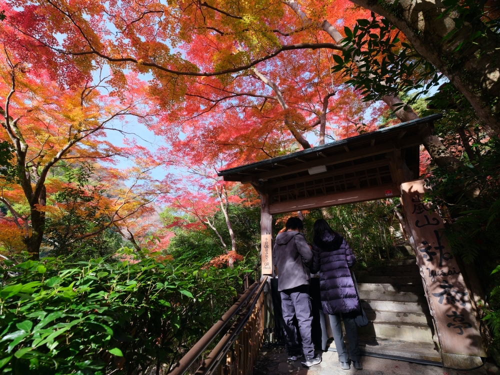 【日本賞楓景點】超強京都楓葉景點，京都賞楓地點介紹，楓況公佈攻略 @捲捲頭 ♡ 品味生活