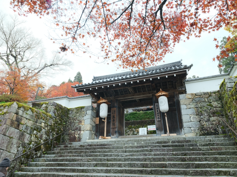 【三千院.嵐山一日遊】輕鬆打卡兩個京都賞楓必去景點，免自駕全攻略 @捲捲頭 ♡ 品味生活