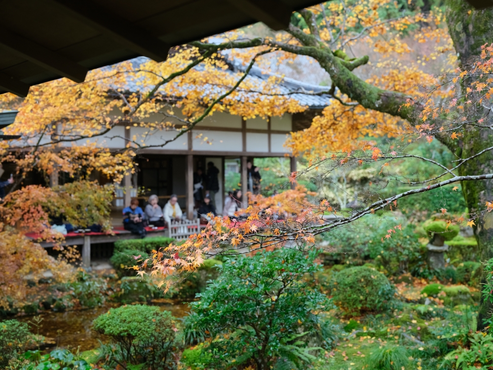 【三千院.嵐山一日遊】輕鬆打卡兩個京都賞楓必去景點，免自駕全攻略 @捲捲頭 ♡ 品味生活