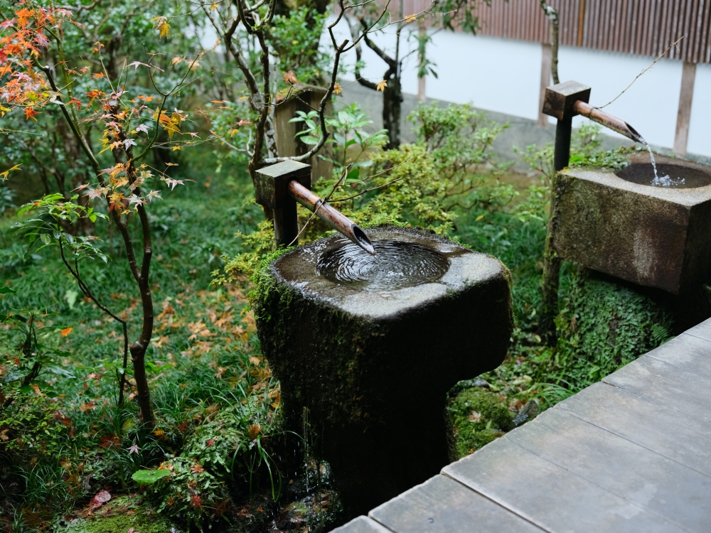 【三千院.嵐山一日遊】輕鬆打卡兩個京都賞楓必去景點，免自駕全攻略 @捲捲頭 ♡ 品味生活