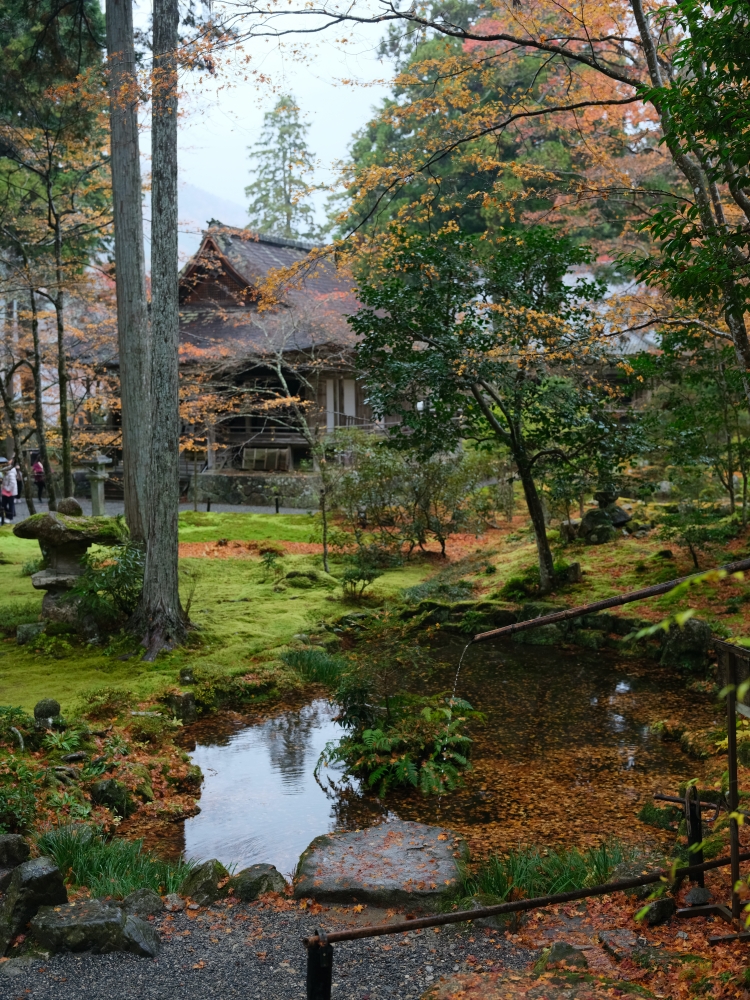 【三千院.嵐山一日遊】輕鬆打卡兩個京都賞楓必去景點，免自駕全攻略 @捲捲頭 ♡ 品味生活