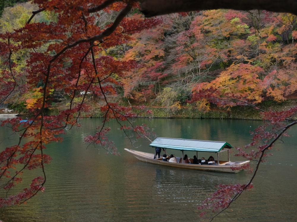 【三千院.嵐山一日遊】輕鬆打卡兩個京都賞楓必去景點，免自駕全攻略 @捲捲頭 ♡ 品味生活