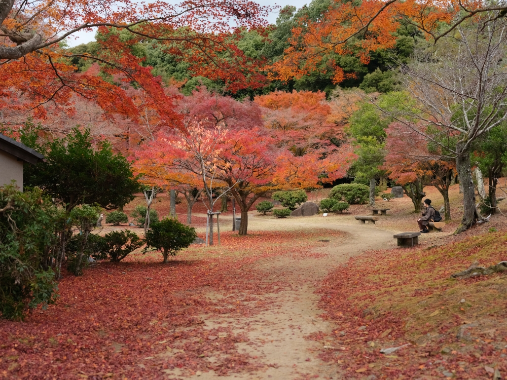 【三千院.嵐山一日遊】輕鬆打卡兩個京都賞楓必去景點，免自駕全攻略 @捲捲頭 ♡ 品味生活