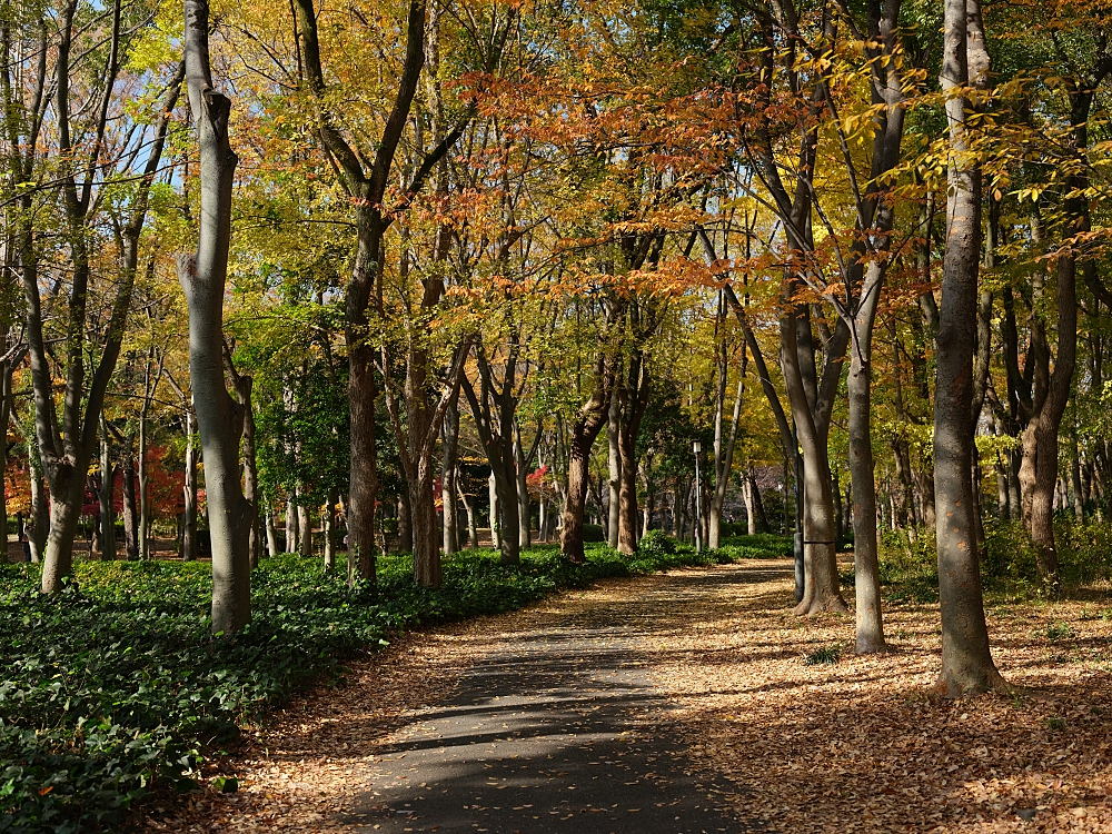 【大阪城公園】快攻天守閣小撇步！門票、交通、環境全攻略 @捲捲頭 ♡ 品味生活