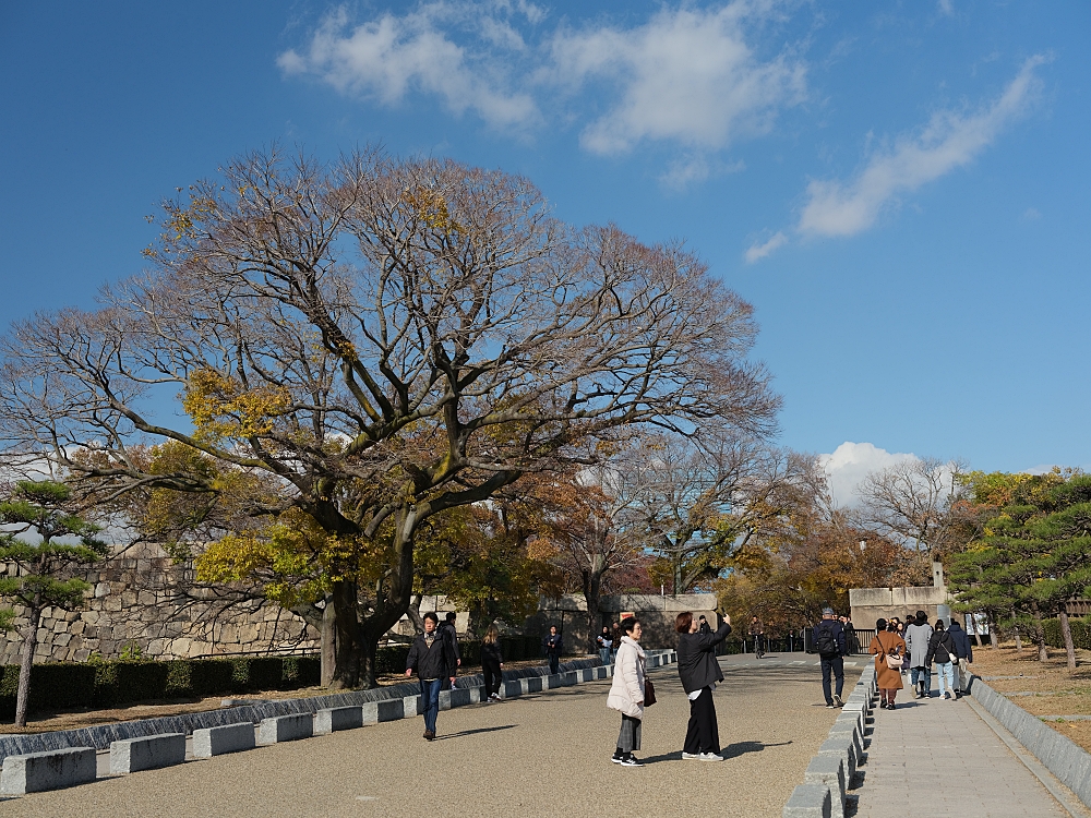 【大阪城公園】快攻天守閣小撇步！門票、交通、環境全攻略 @捲捲頭 ♡ 品味生活