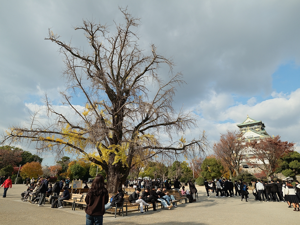 【大阪城公園】快攻天守閣小撇步！門票、交通、環境全攻略 @捲捲頭 ♡ 品味生活