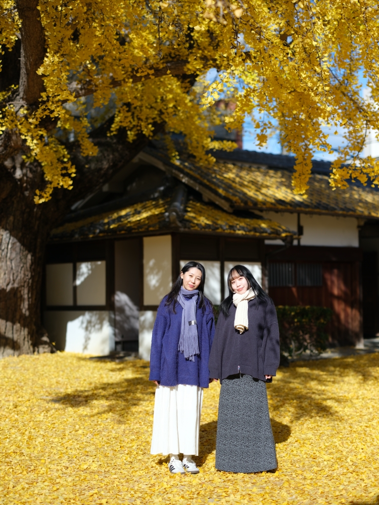 大阪【難宗寺】500年古老銀杏樹，飄落的黃金雨這裡看～ @捲捲頭 ♡ 品味生活