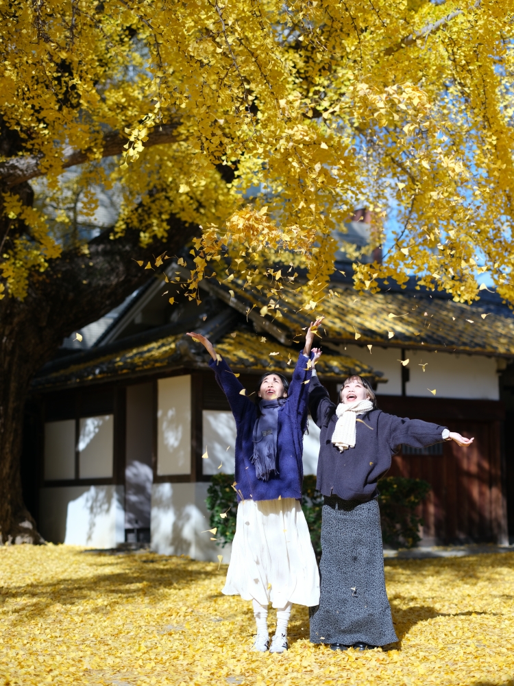 大阪【難宗寺】500年古老銀杏樹，飄落的黃金雨這裡看～ @捲捲頭 ♡ 品味生活