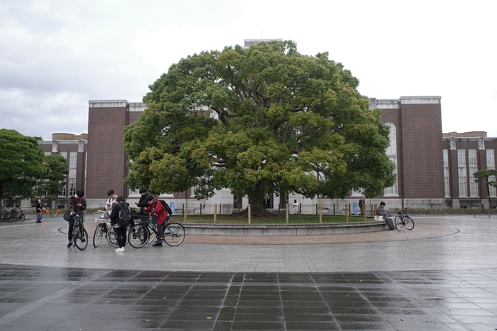 【京都大學】京都名校巡禮，交通、附近景點美食全攻略 @捲捲頭 ♡ 品味生活