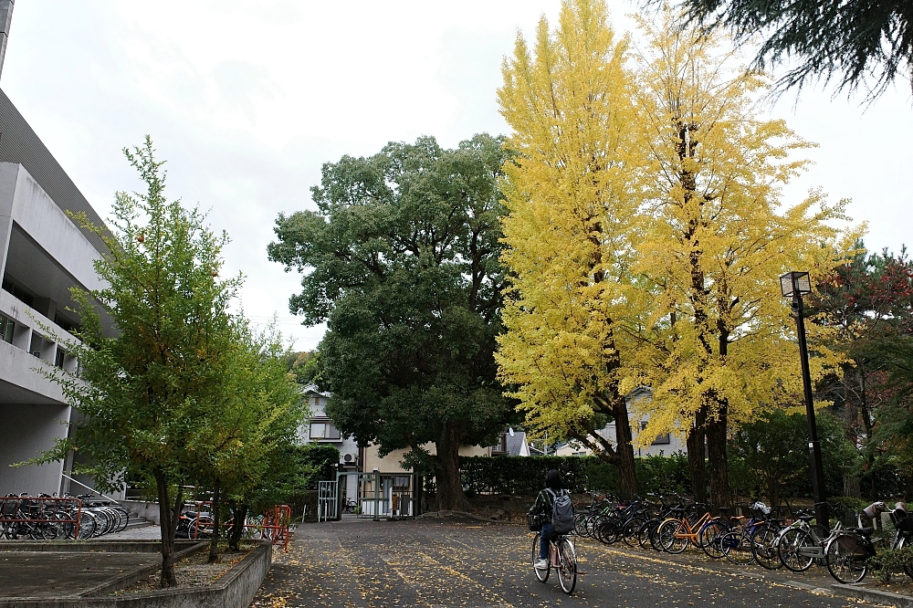 【京都大學】京都名校巡禮，交通、附近景點美食全攻略 @捲捲頭 ♡ 品味生活