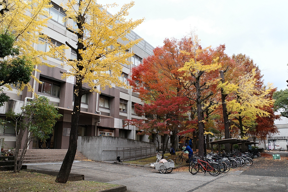 【京都大學】京都名校巡禮，交通、附近景點美食全攻略 @捲捲頭 ♡ 品味生活