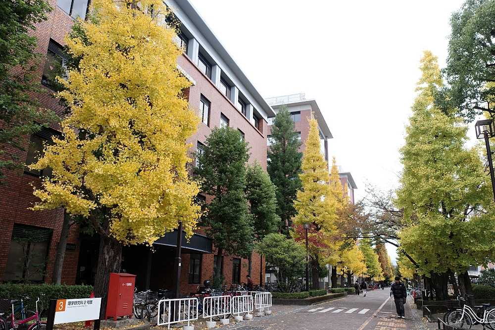 【京都大學】京都名校巡禮，交通、附近景點美食全攻略 @捲捲頭 ♡ 品味生活