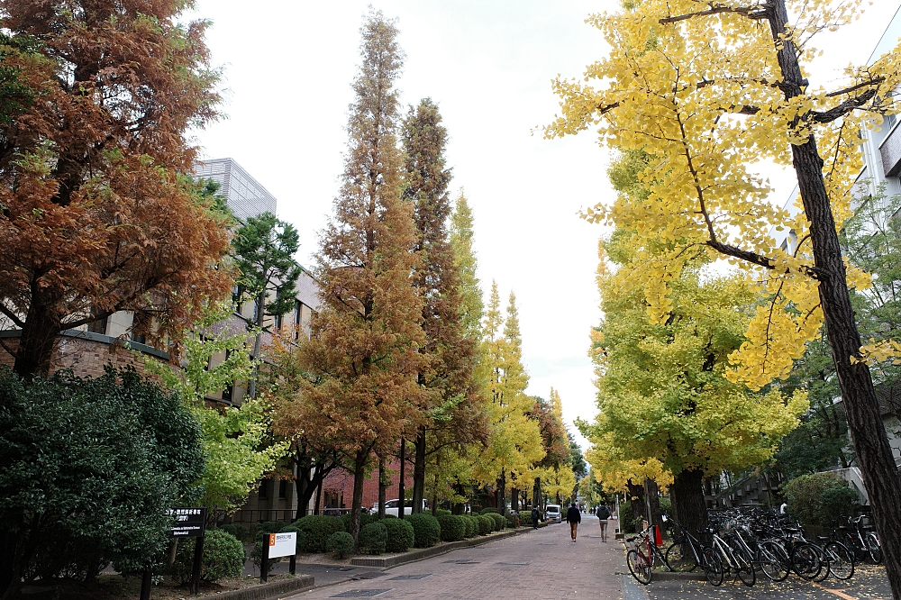 【京都大學】京都名校巡禮，交通、附近景點美食全攻略 @捲捲頭 ♡ 品味生活