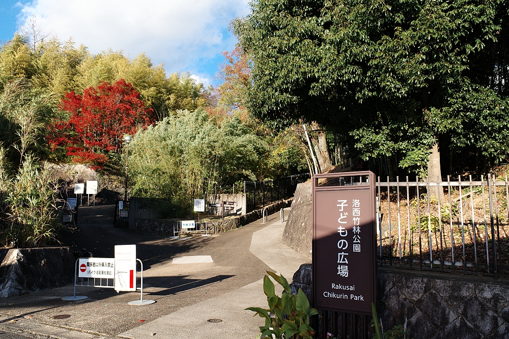 【洛西竹林公園】京都竹林秘境，門票、交通、環境全攻略 @捲捲頭 ♡ 品味生活