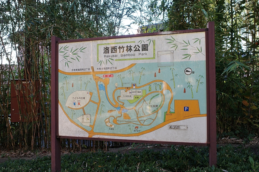 【洛西竹林公園】京都竹林秘境，門票、交通、環境全攻略 @捲捲頭 ♡ 品味生活