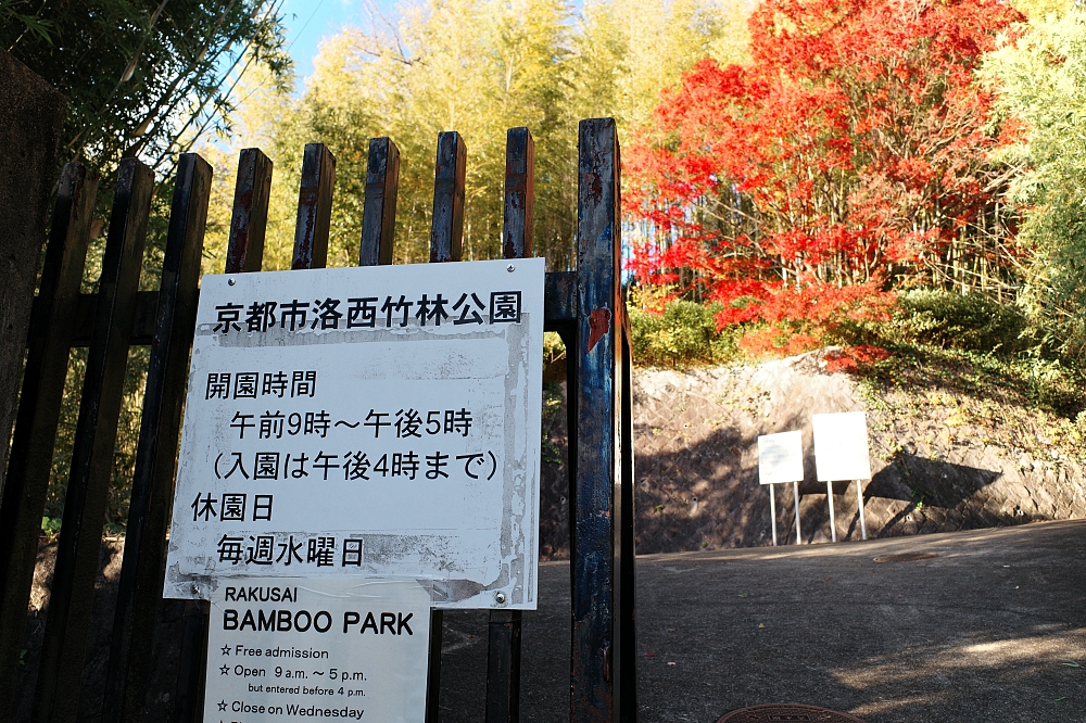 【洛西竹林公園】京都竹林秘境，門票、交通、環境全攻略 @捲捲頭 ♡ 品味生活