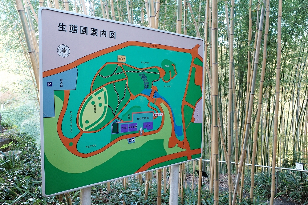 【洛西竹林公園】京都竹林秘境，門票、交通、環境全攻略 @捲捲頭 ♡ 品味生活