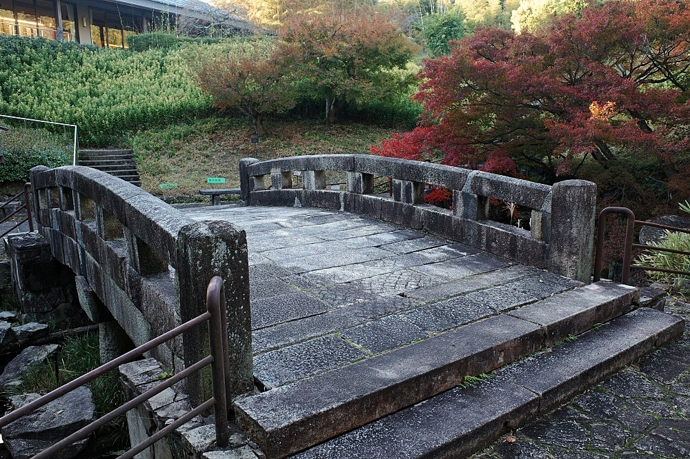 【洛西竹林公園】京都竹林秘境，門票、交通、環境全攻略 @捲捲頭 ♡ 品味生活