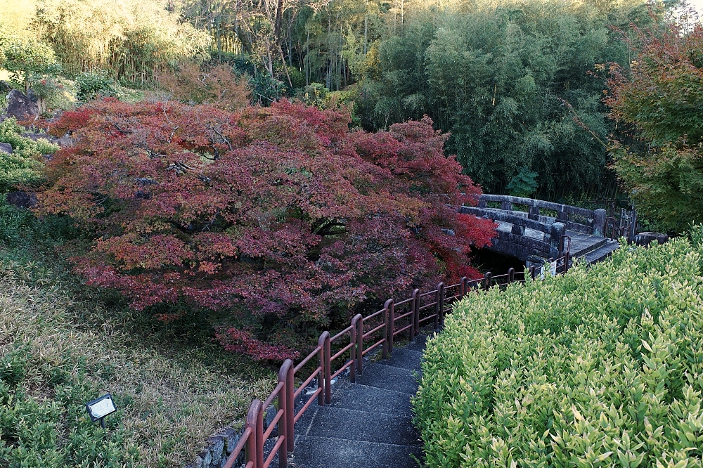 【洛西竹林公園】京都竹林秘境，門票、交通、環境全攻略 @捲捲頭 ♡ 品味生活