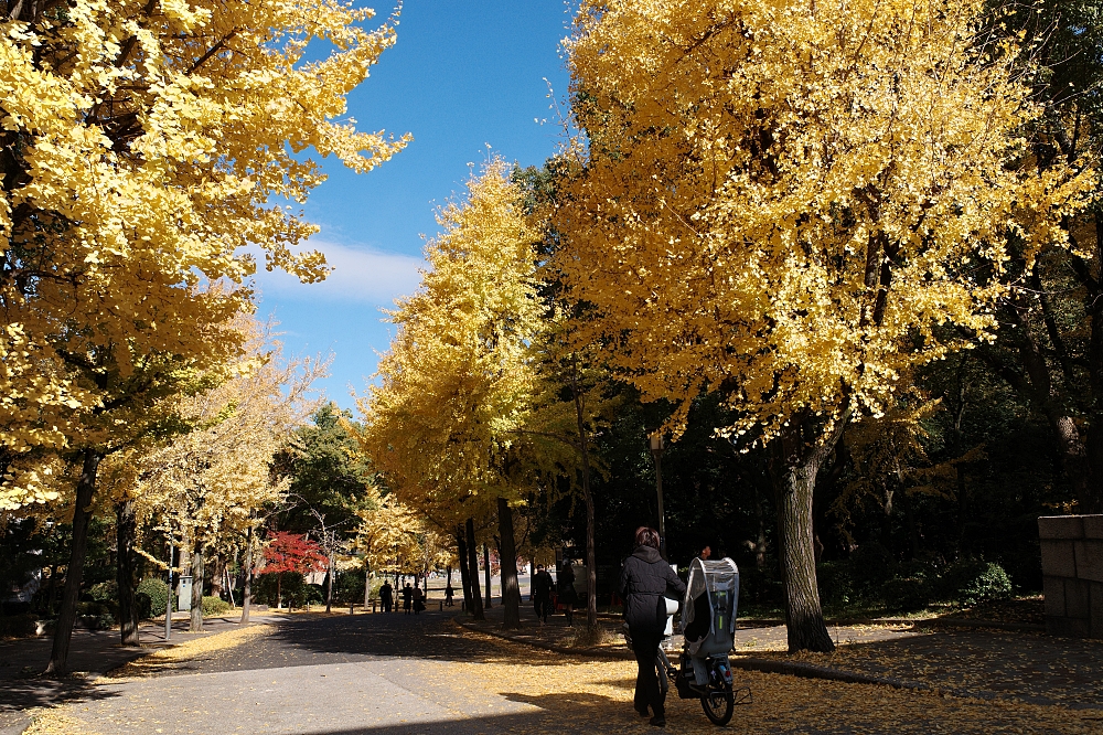 【大阪城公園】快攻天守閣小撇步！門票、交通、環境全攻略 @捲捲頭 ♡ 品味生活