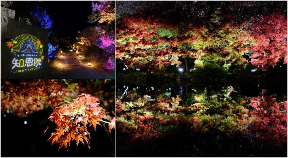 【京都夜楓半日遊】參觀東寺和知恩院友禪苑夜楓，大珠小珠落玉盤，太美了～ @捲捲頭 ♡ 品味生活