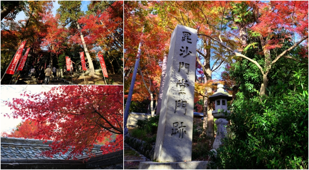 【京都夜楓半日遊】參觀東寺和知恩院友禪苑夜楓，大珠小珠落玉盤，太美了～ @捲捲頭 ♡ 品味生活