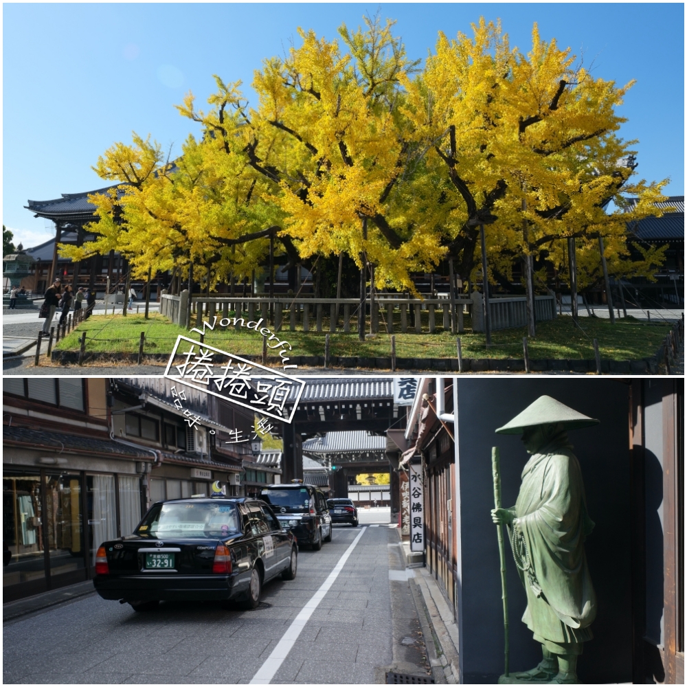 【西本願寺】京都銀杏名所，朝天生長的四百年大銀杏 @捲捲頭 ♡ 品味生活