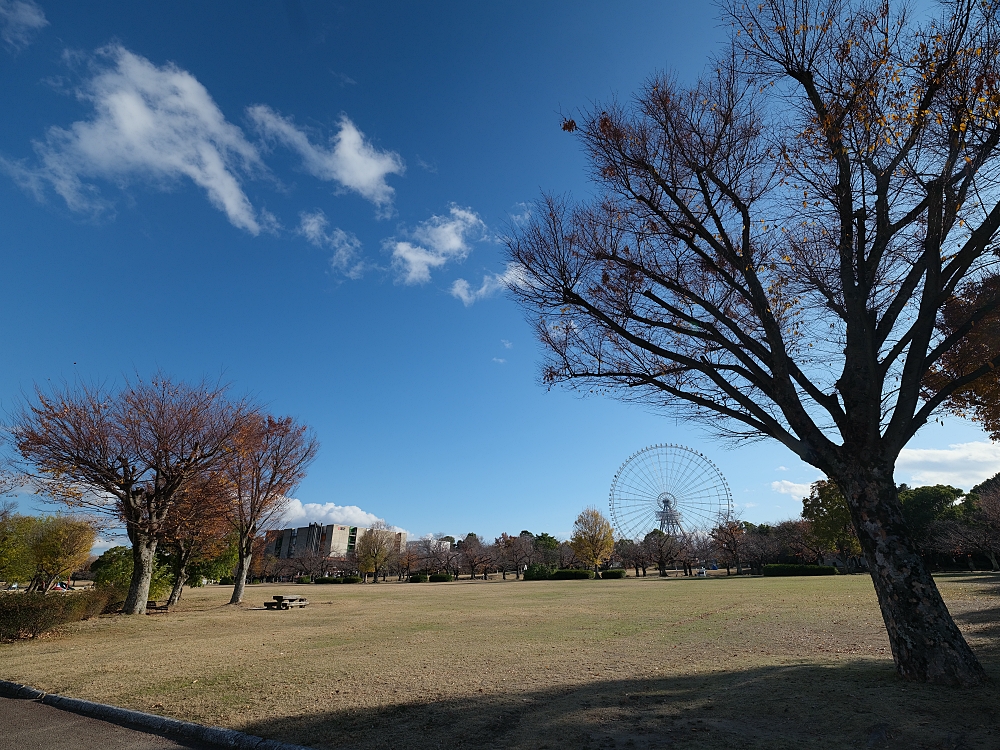 【萬博紀念公園】大阪萬博的經典地標，門票、交通、環境全攻略 @捲捲頭 ♡ 品味生活