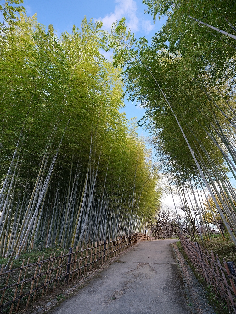 【萬博紀念公園】大阪萬博的經典地標，門票、交通、環境全攻略 @捲捲頭 ♡ 品味生活