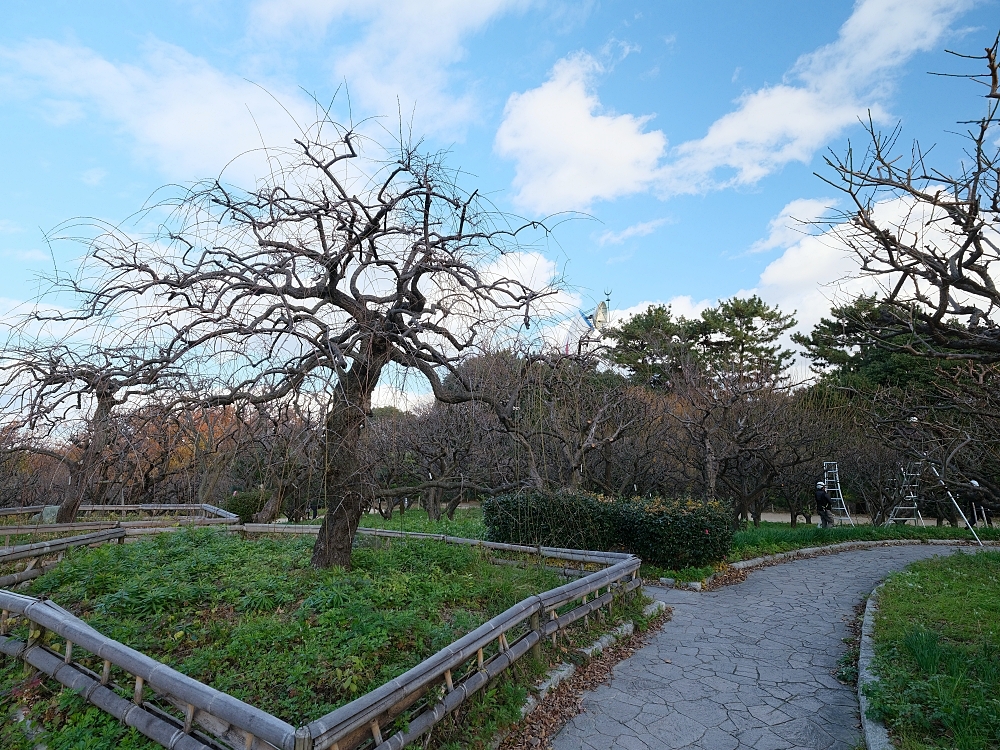 【萬博紀念公園】大阪萬博的經典地標，門票、交通、環境全攻略 @捲捲頭 ♡ 品味生活