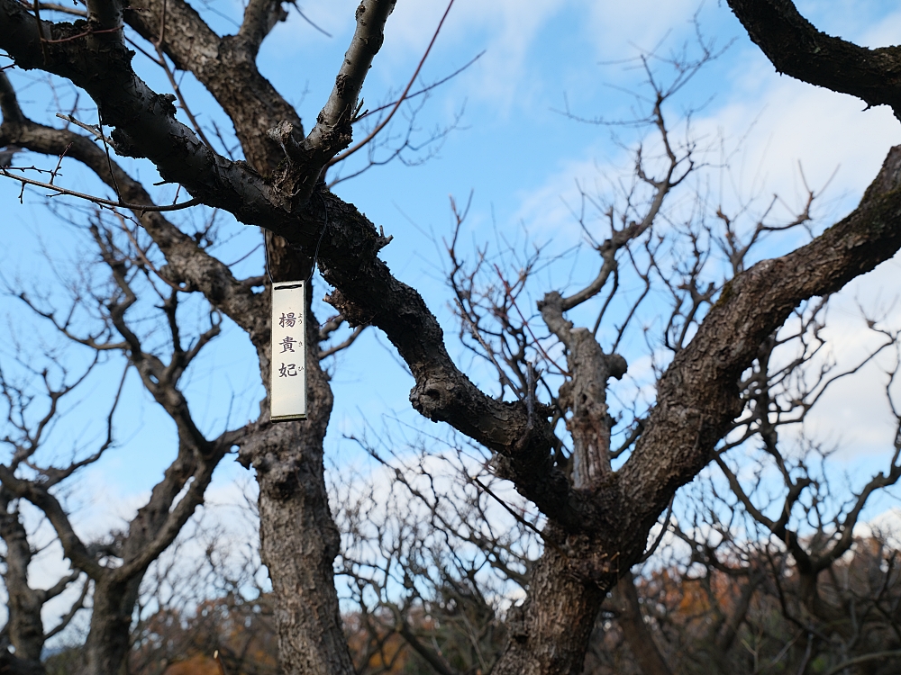 【萬博紀念公園】大阪萬博的經典地標，門票、交通、環境全攻略 @捲捲頭 ♡ 品味生活