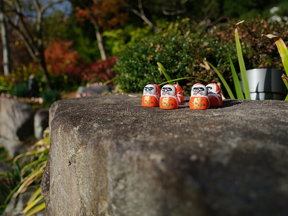 大阪景點【勝尾寺】可愛到犯規的達摩不倒翁，門票、交通、環境全攻略 @捲捲頭 ♡ 品味生活