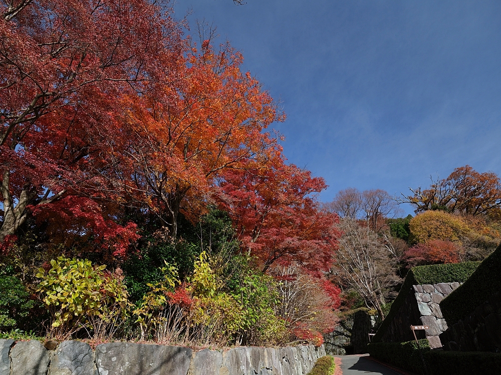 大阪景點【勝尾寺】可愛到犯規的達摩不倒翁，門票、交通、環境全攻略 @捲捲頭 ♡ 品味生活