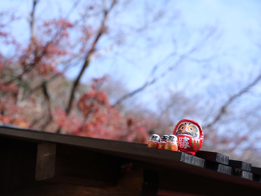 大阪景點【勝尾寺】可愛到犯規的達摩不倒翁，門票、交通、環境全攻略 @捲捲頭 ♡ 品味生活