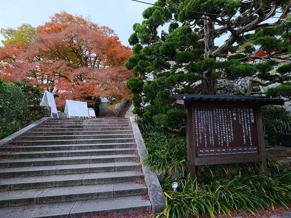 大阪景點【勝尾寺】可愛到犯規的達摩不倒翁，門票、交通、環境全攻略 @捲捲頭 ♡ 品味生活