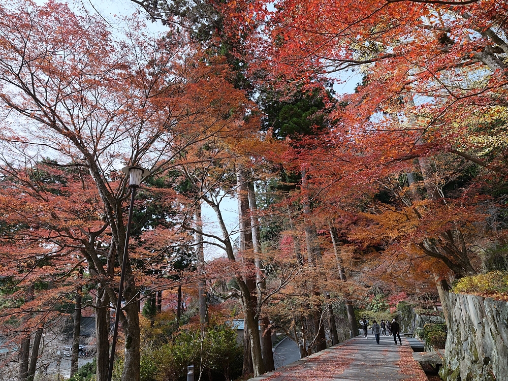 大阪景點【勝尾寺】可愛到犯規的達摩不倒翁，門票、交通、環境全攻略 @捲捲頭 ♡ 品味生活