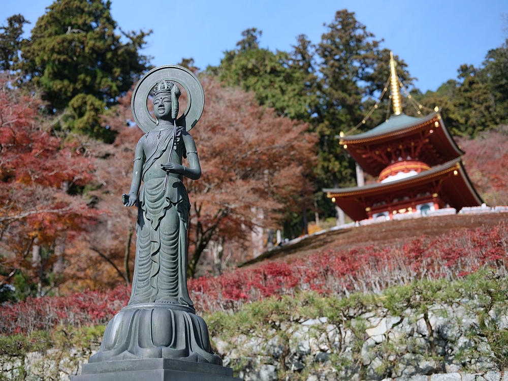 大阪景點【勝尾寺】可愛到犯規的達摩不倒翁，門票、交通、環境全攻略 @捲捲頭 ♡ 品味生活