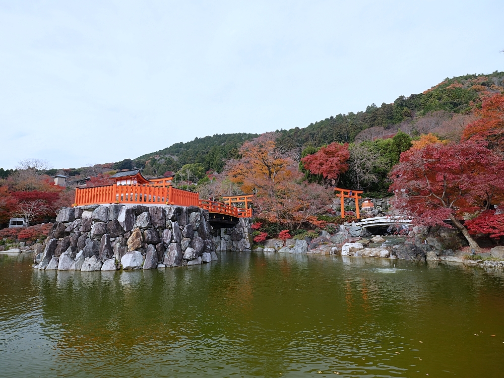 大阪景點【勝尾寺】可愛到犯規的達摩不倒翁，門票、交通、環境全攻略 @捲捲頭 ♡ 品味生活