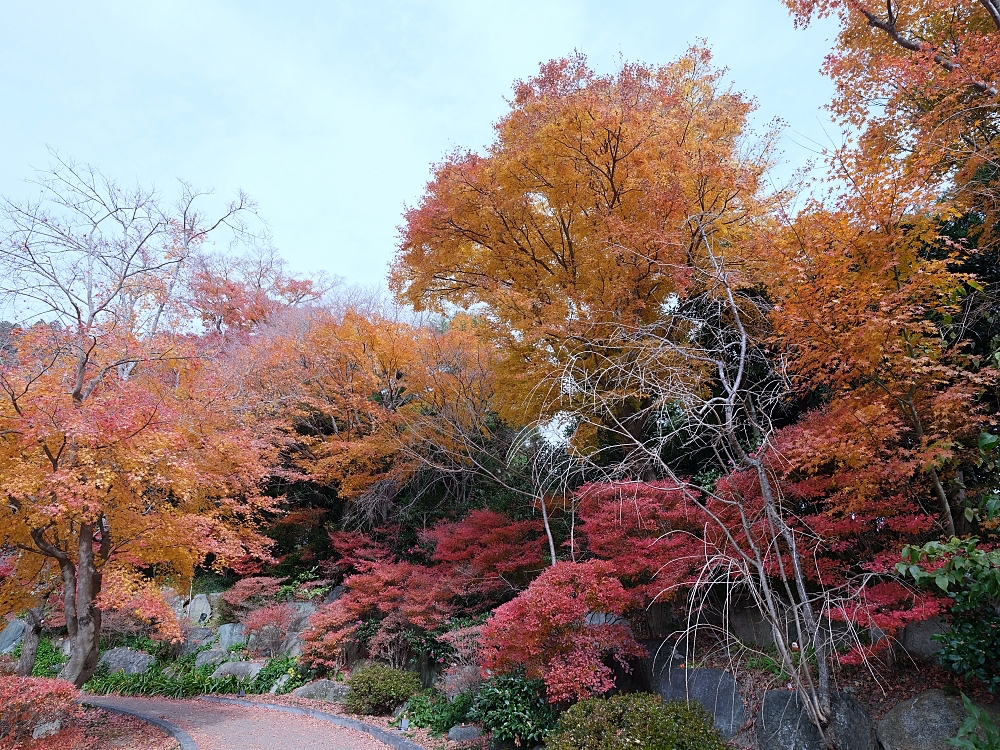 大阪景點【勝尾寺】可愛到犯規的達摩不倒翁，門票、交通、環境全攻略 @捲捲頭 ♡ 品味生活