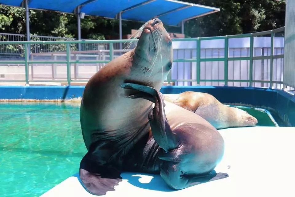 【高知桂浜公園】日本海濱百選、秘境龍王岬,景點指南&#038; 交通資訊 @捲捲頭 ♡ 品味生活