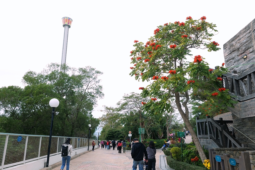 【香港海洋公園攻略】交通、必玩亮點、拍照聖地、門票優惠，一次搞定！ @捲捲頭 ♡ 品味生活