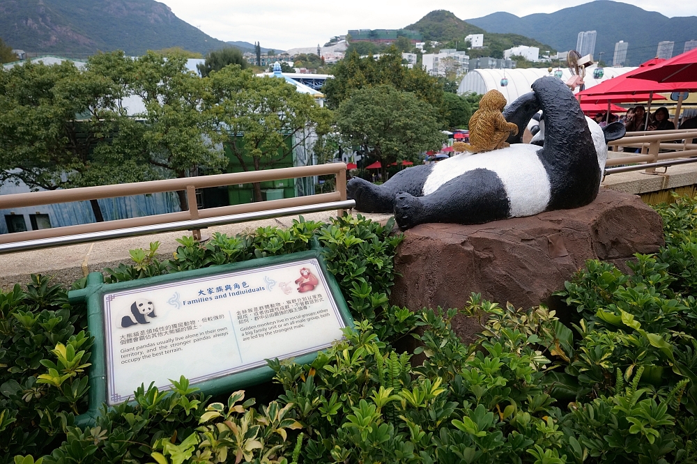 【香港海洋公園攻略】交通、必玩亮點、拍照聖地、門票優惠，一次搞定！ @捲捲頭 ♡ 品味生活