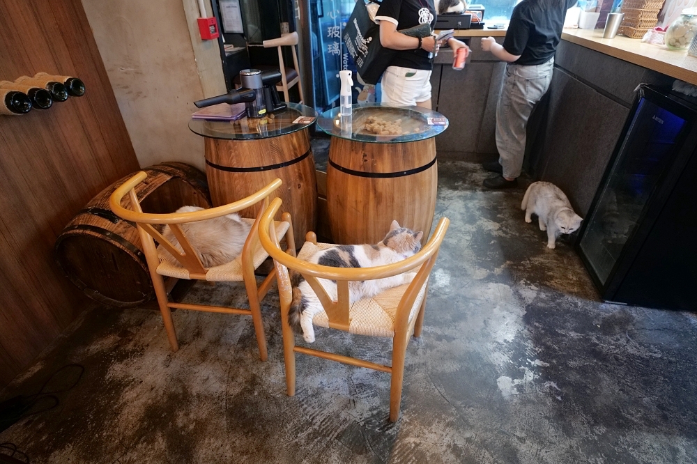 Meowtini喵天尼｜旺角人氣貓Cafe＋酒吧主題｜貓奴必朝聖景點 @捲捲頭 ♡ 品味生活