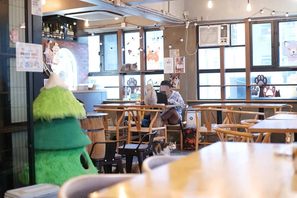 Meowtini喵天尼｜旺角人氣貓Cafe＋酒吧主題｜貓奴必朝聖景點 @捲捲頭 ♡ 品味生活
