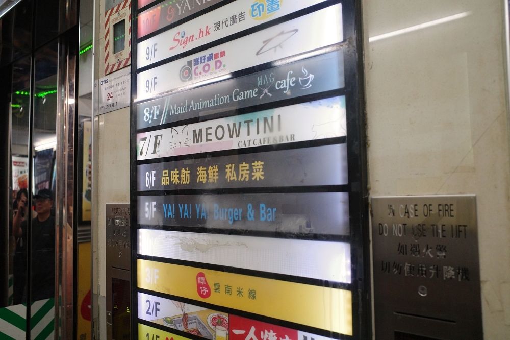 Meowtini喵天尼｜旺角人氣貓Cafe＋酒吧主題｜貓奴必朝聖景點 @捲捲頭 ♡ 品味生活